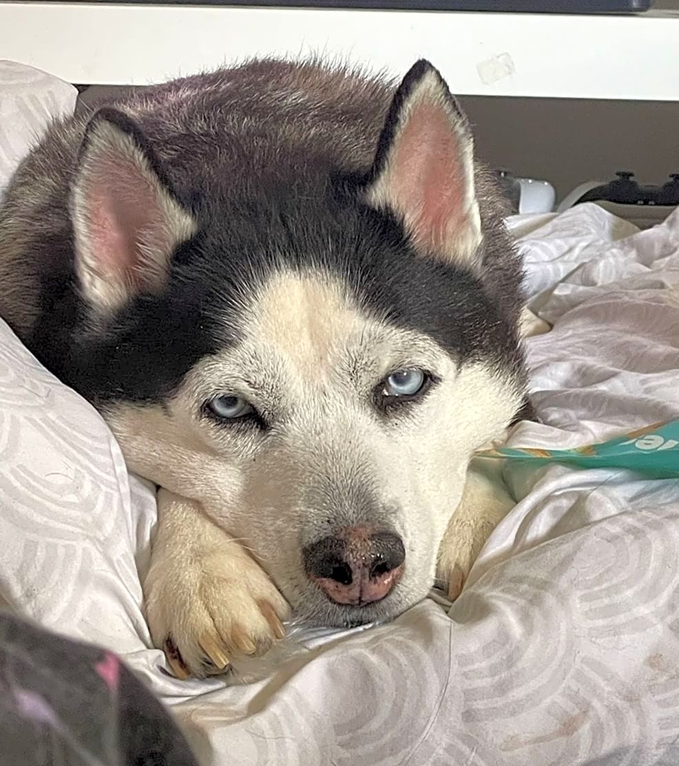 Photo of Storm