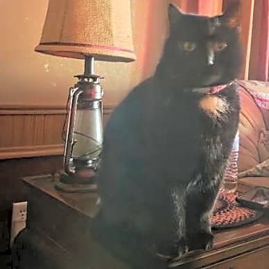 Photo of Max