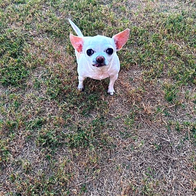 Photo of Penelope
