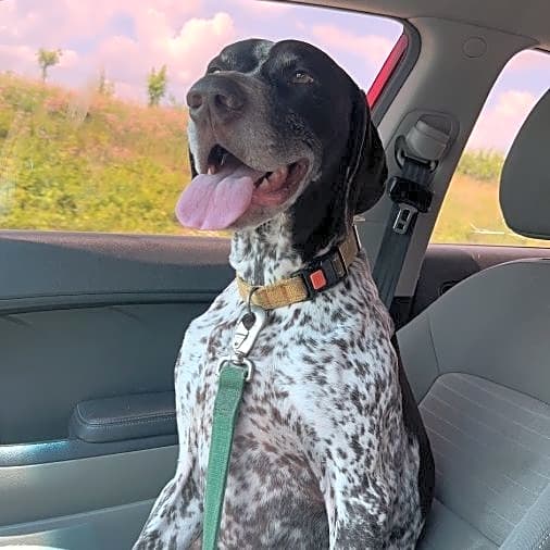 Photo of Waylon