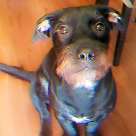 Photo of Oso