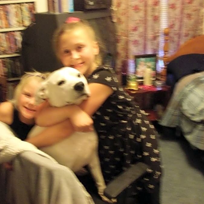 Photo of Dobby