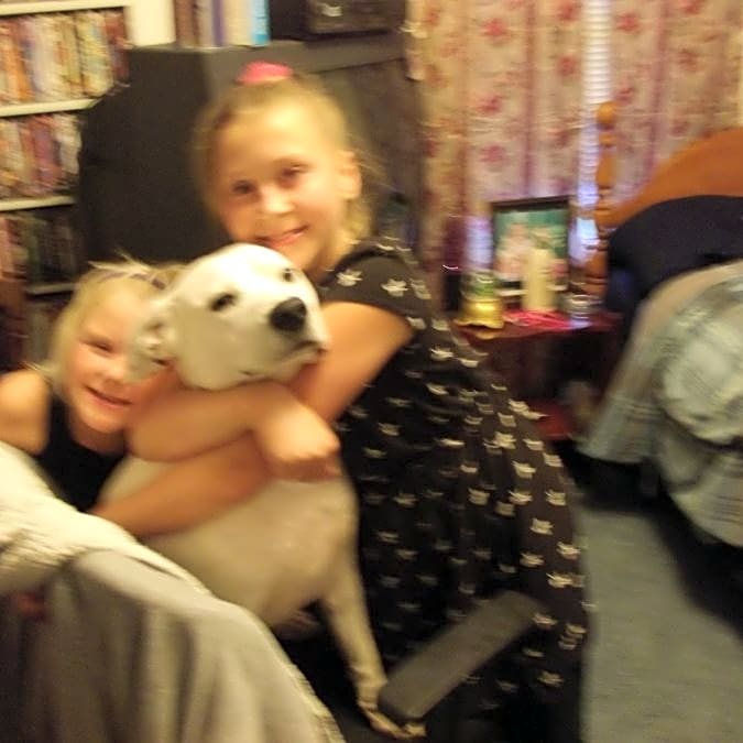 Photo of Dobby