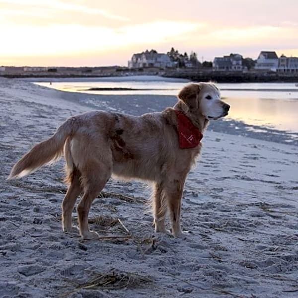 Photo of Maddy