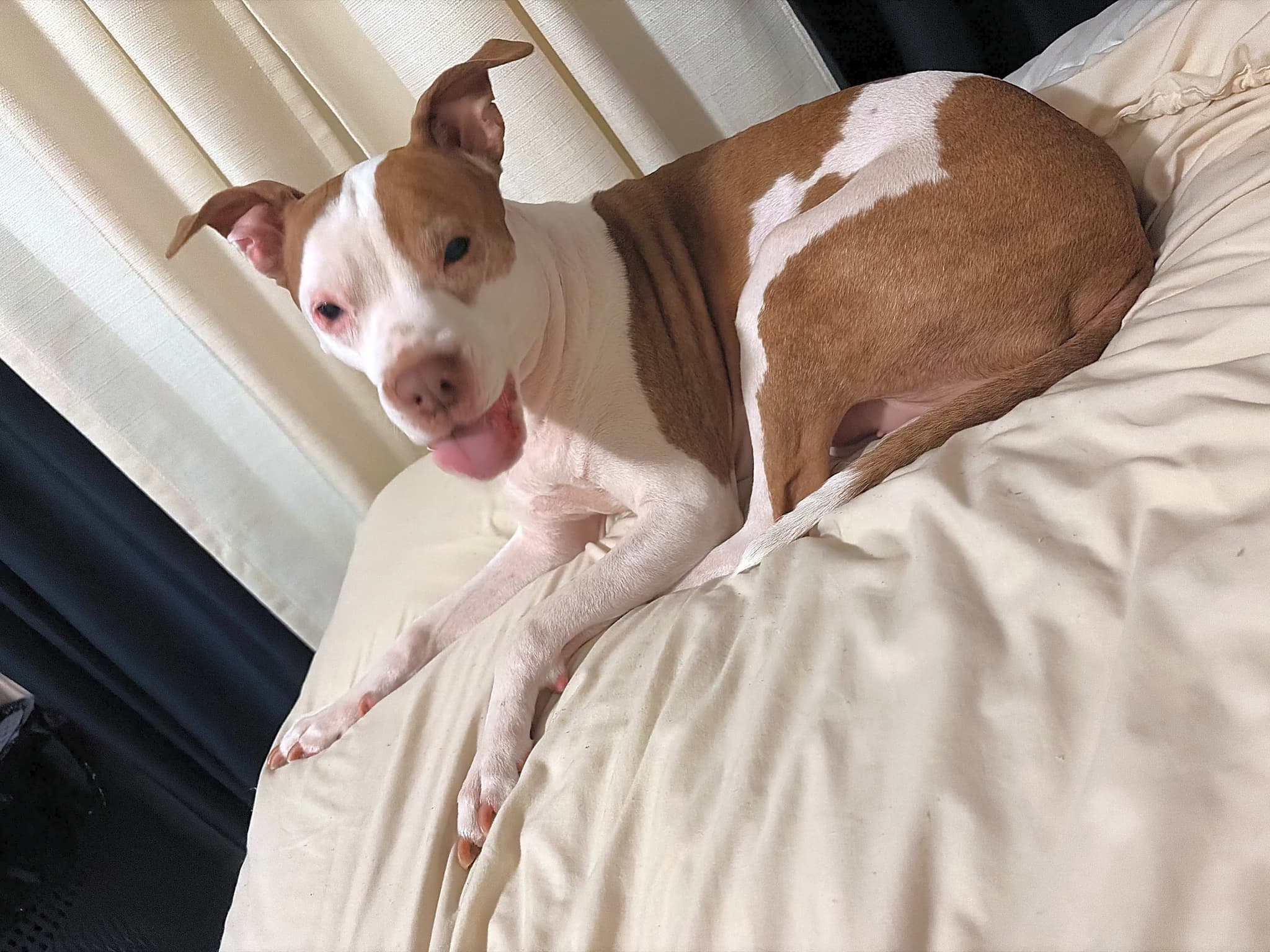 Photo of Coco Love