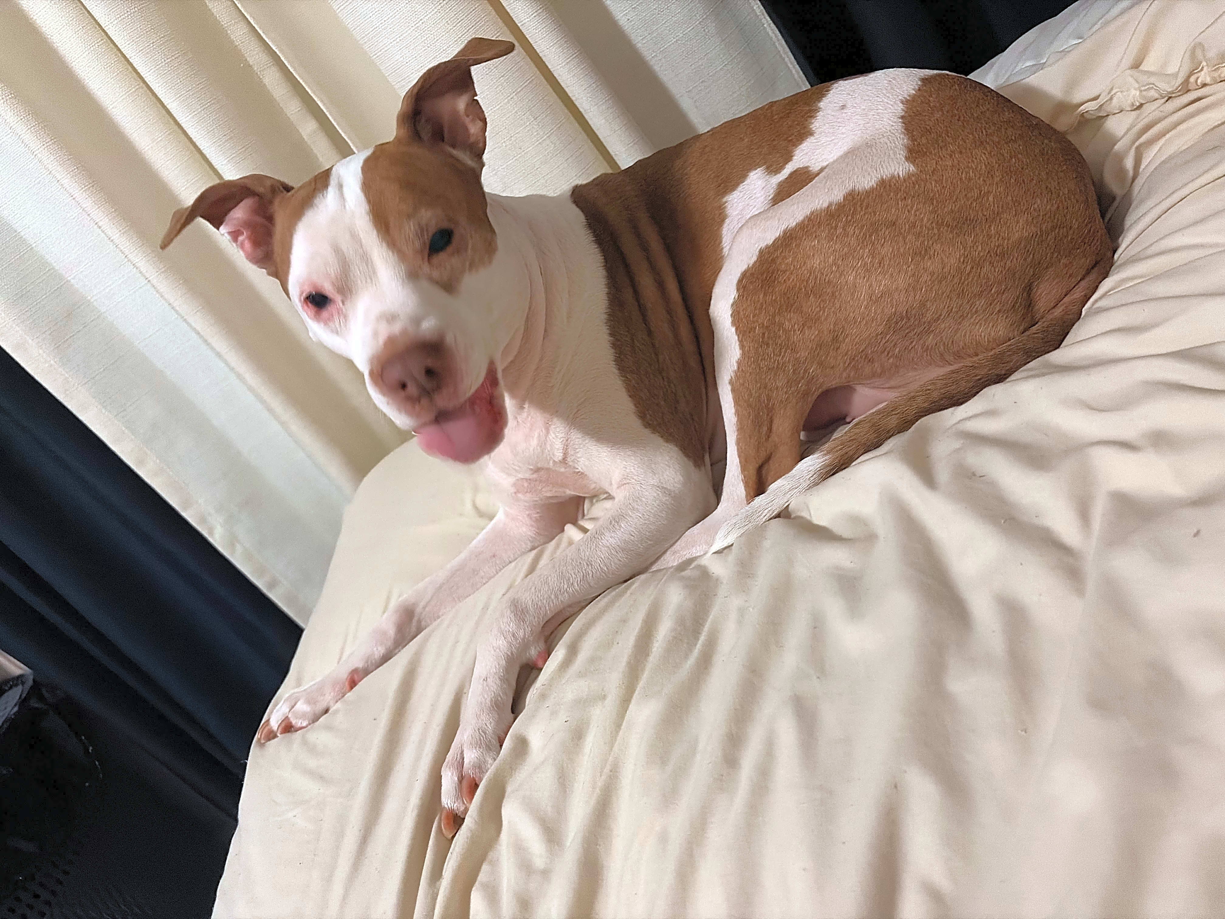 Photo of Coco Love