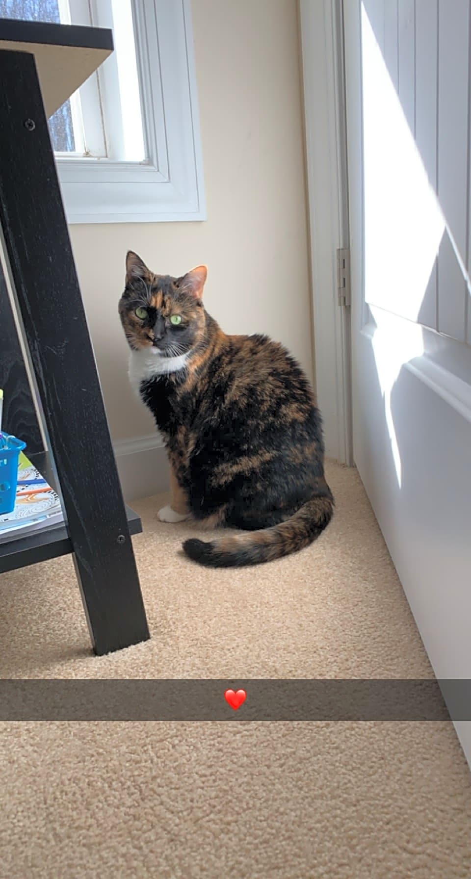 Photo of Raisin