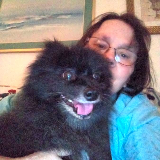 Photo of Bear