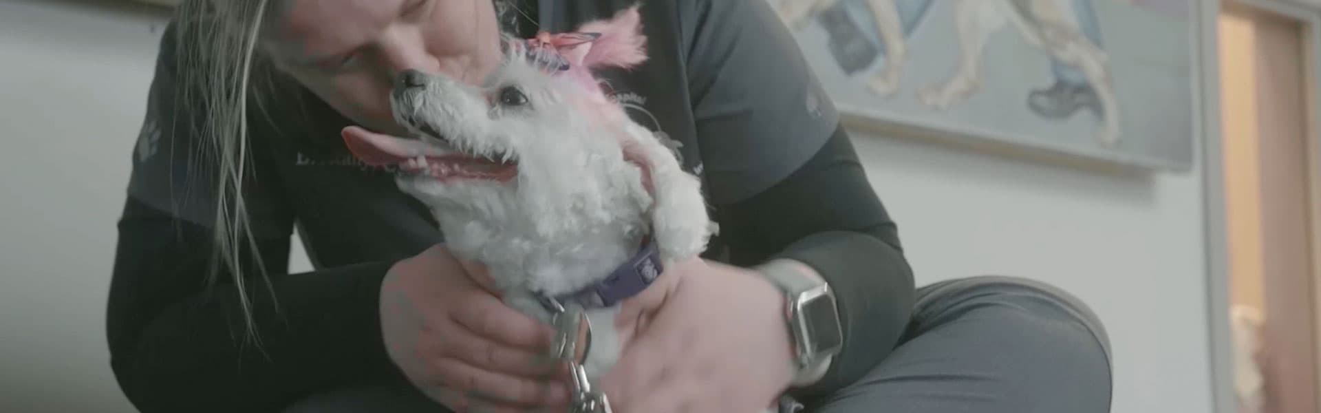 Waggle Success Story: Meet Luna