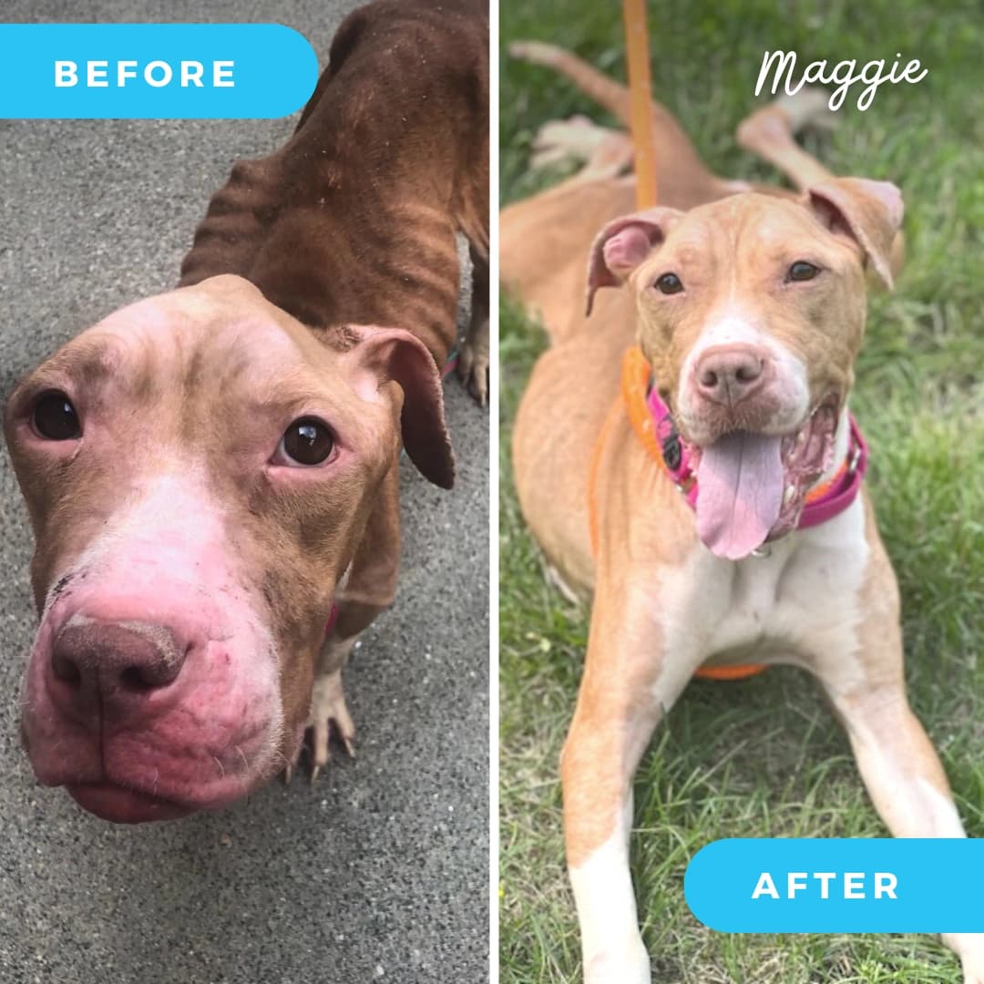 Maggie