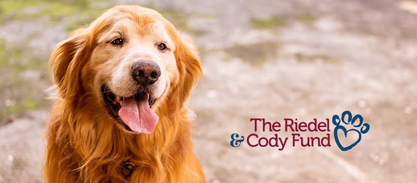 Riedel & Cody Fund: Ten Years of Helping Pets with Cancer