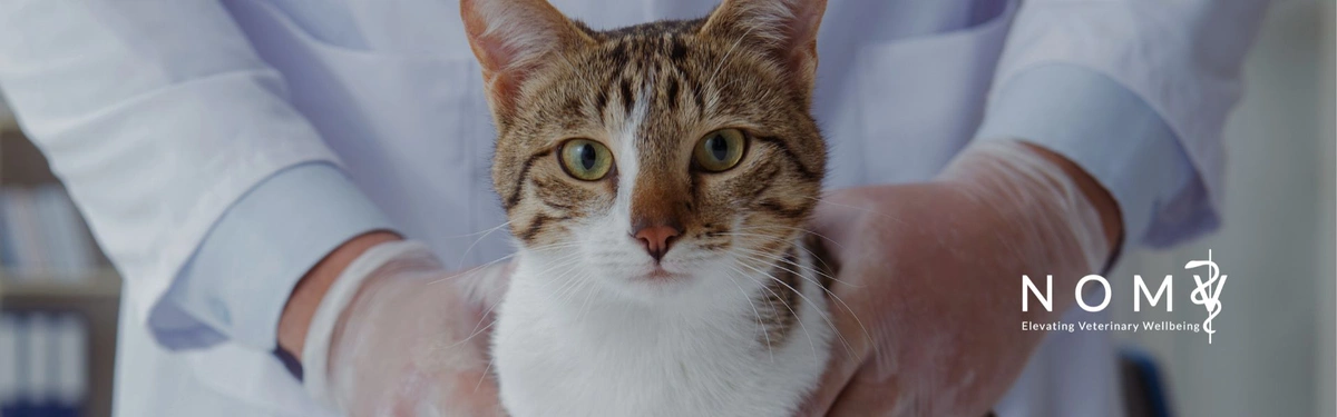 Who is Limited Access to Veterinary Care Hurting?